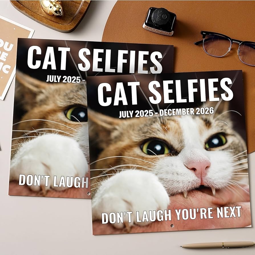 Amazon 2025 2026 Wall Calendar Funny Cats Calendar 2025 2026 12