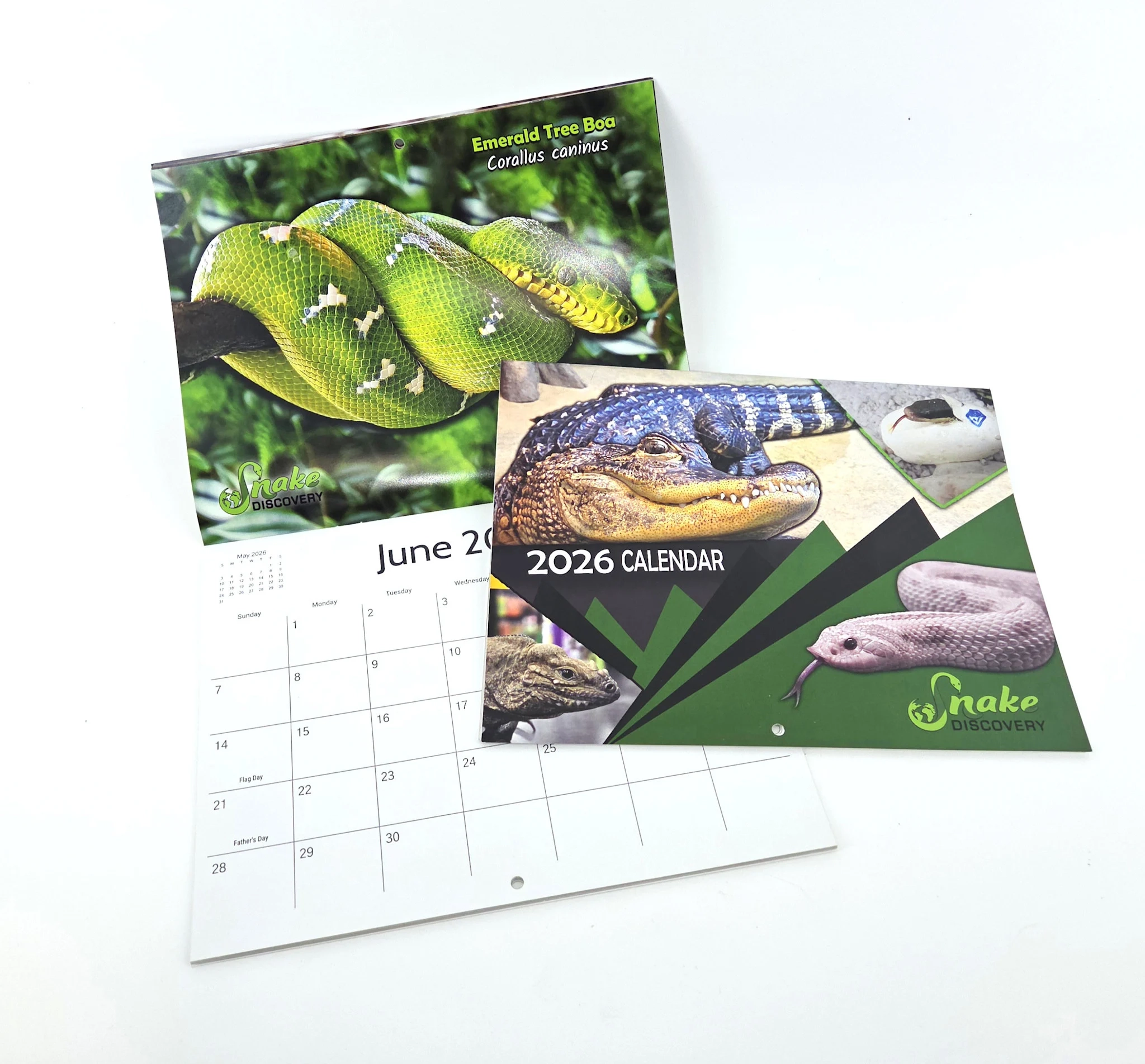 2026 Calendar Snake Discovery