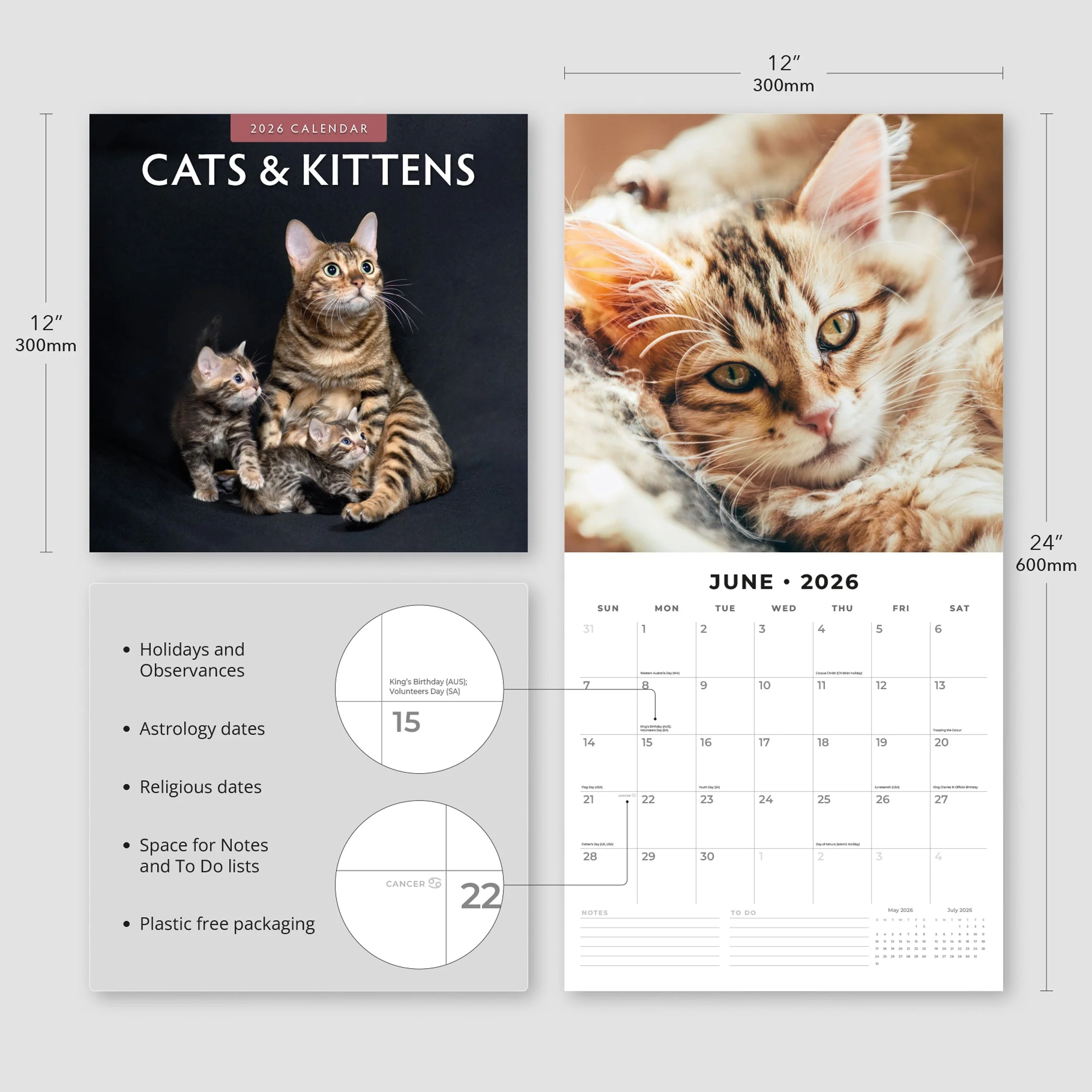 Printable November 2026 Calendar With Cats