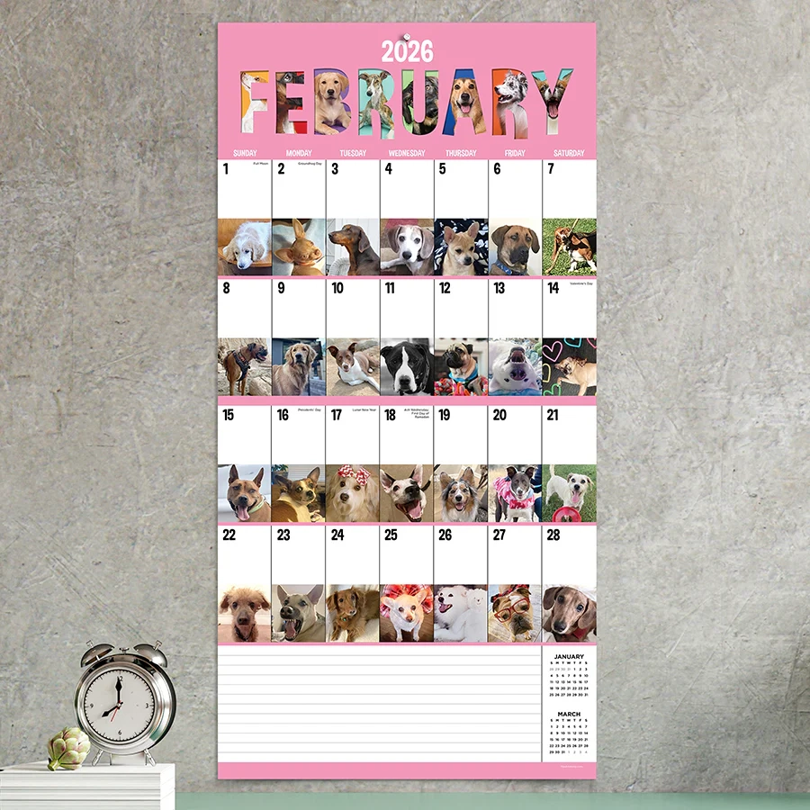 2026 Dog A Day Wall Calendar TF Publishing Calendars 