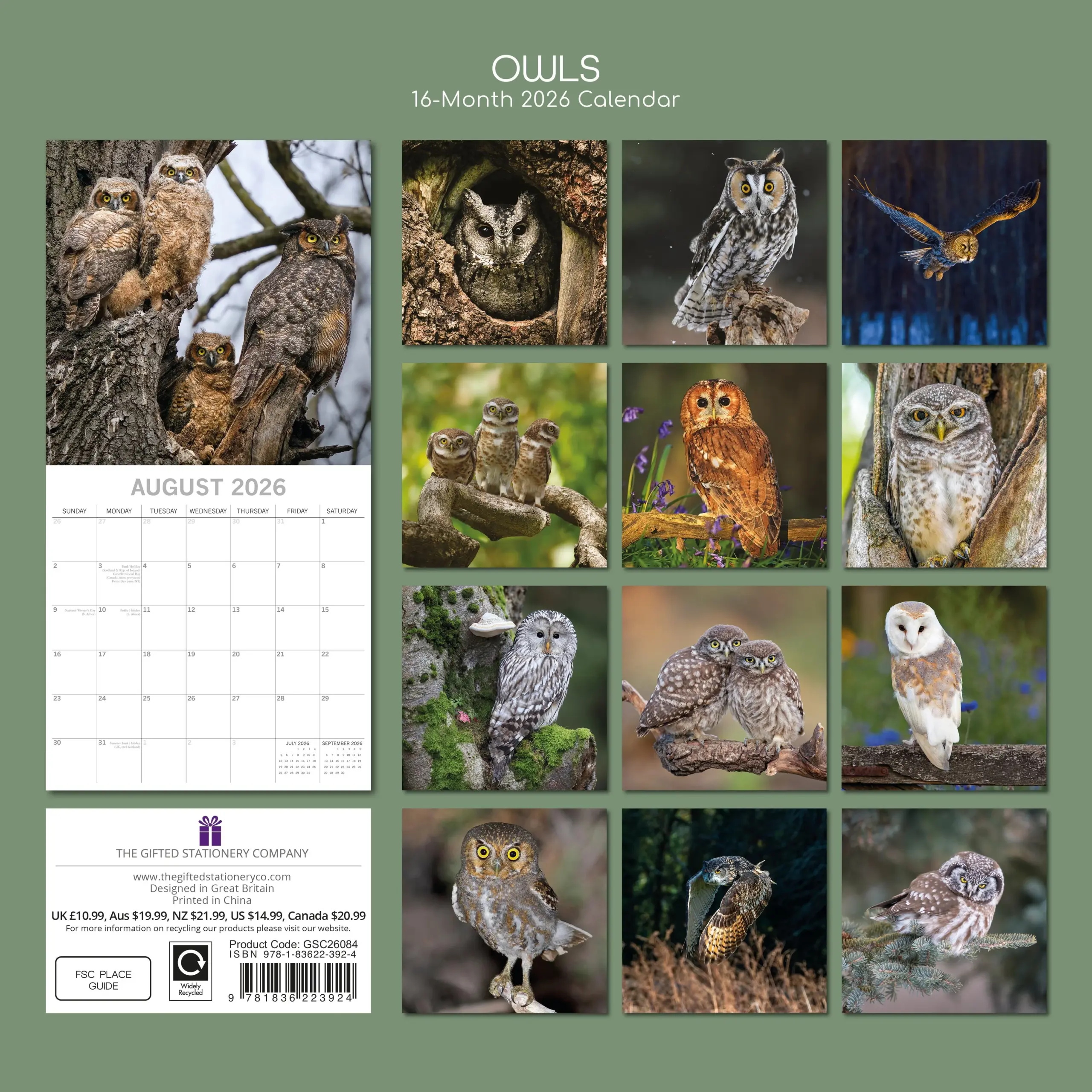 2026 Owls Square Wall Calendar
