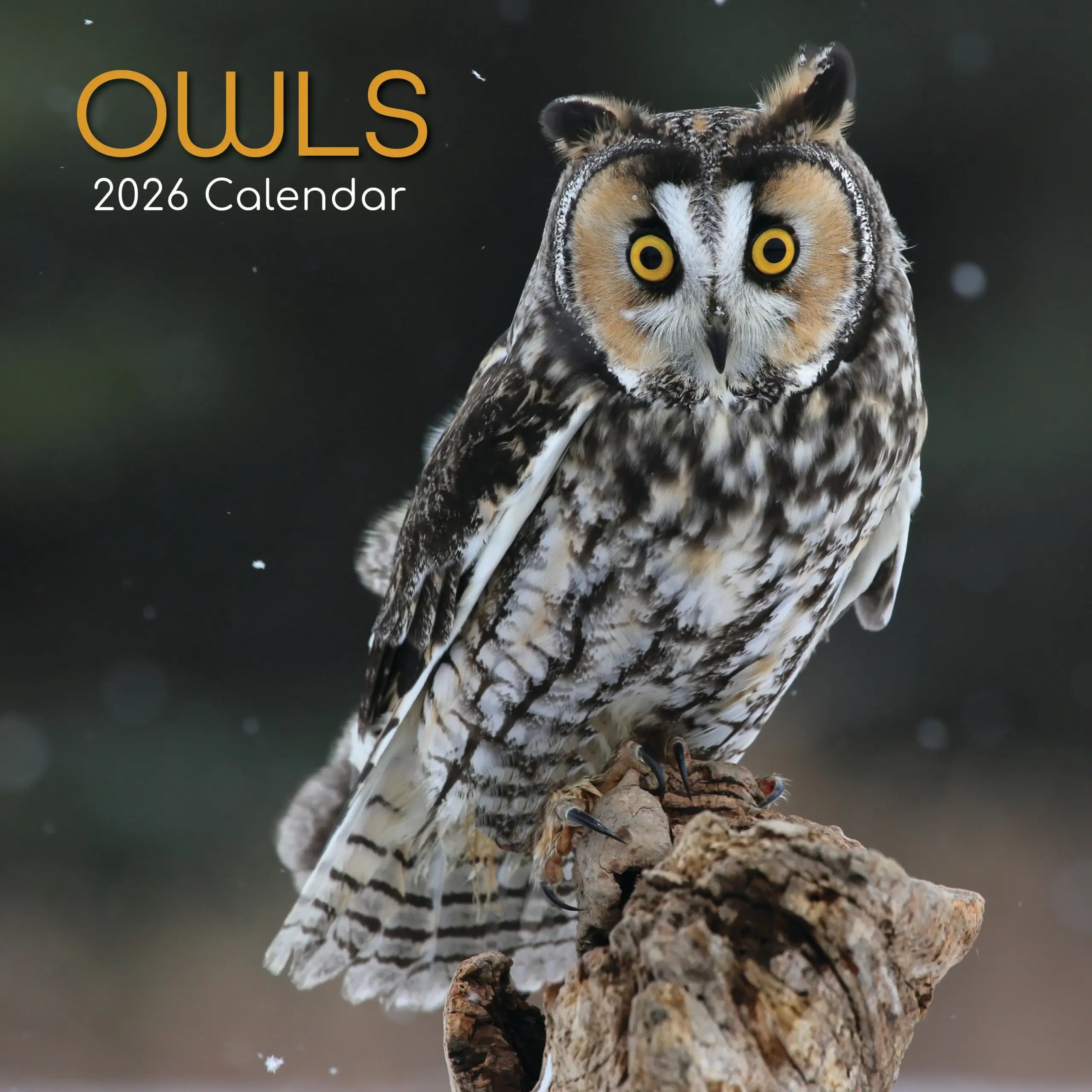November 2026 Printable Calendar Owls