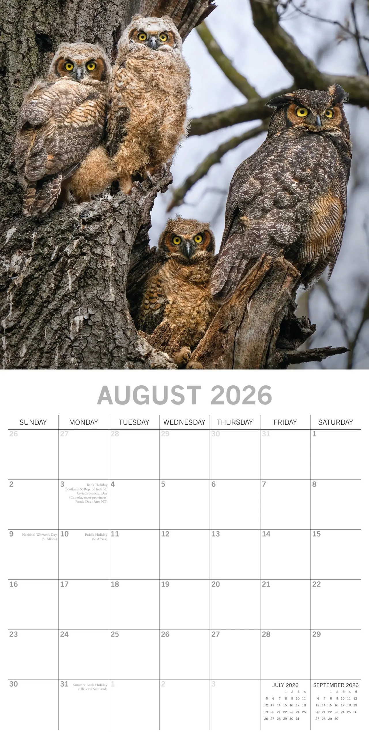 2026 Owls Square Wall Calendar