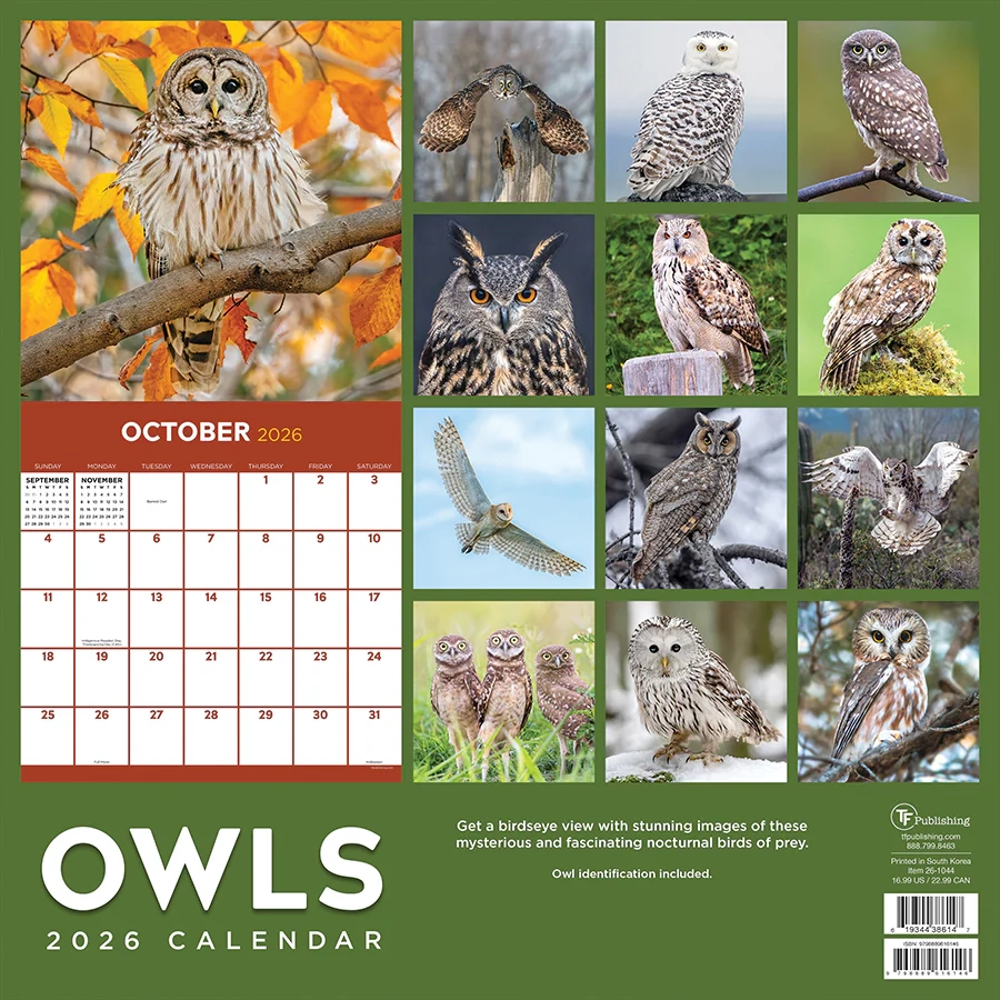 2026 Owls Wall Calendar TF Publishing Calendars Planners 