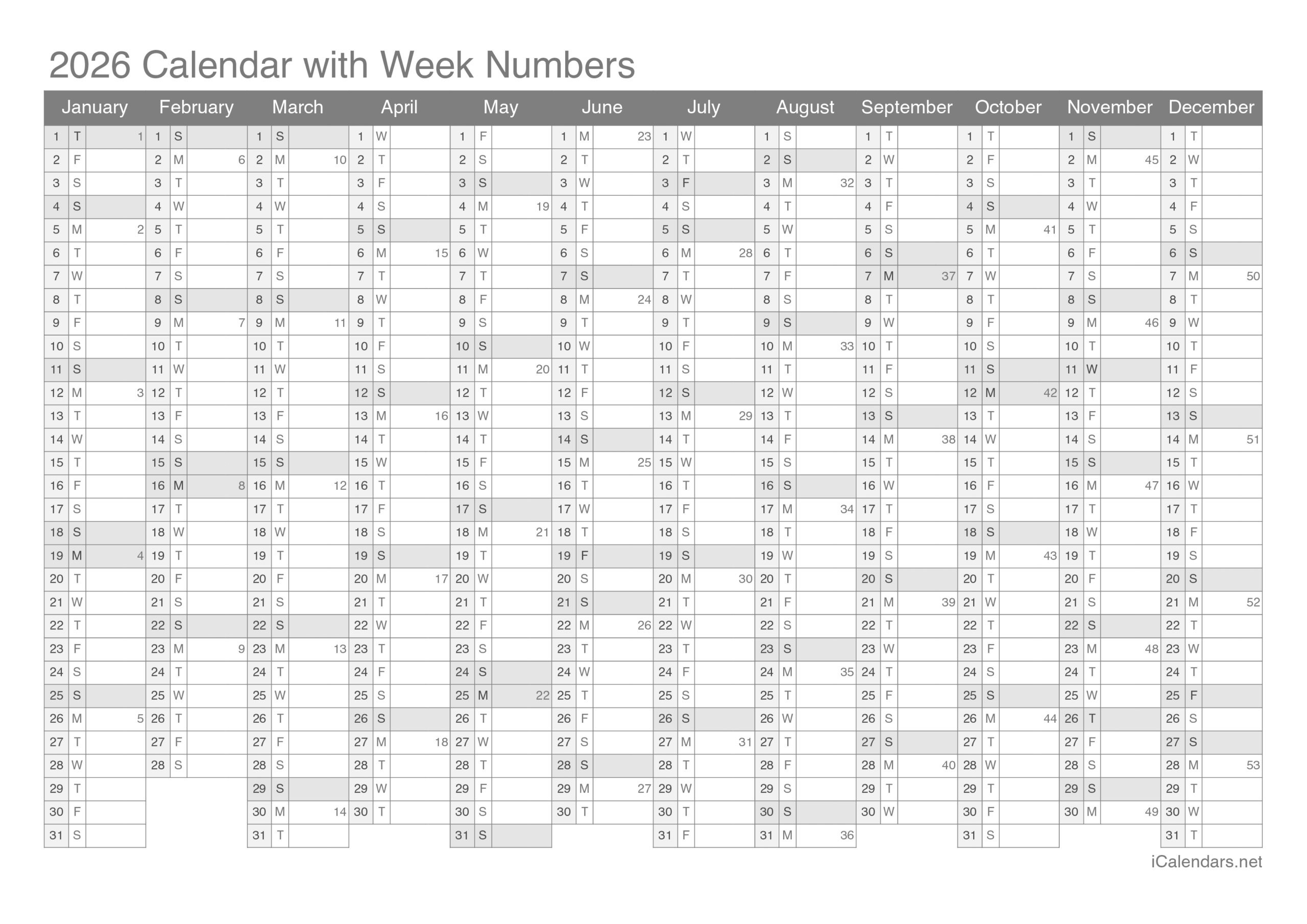 2026 Blank Year Calendar Printable Free