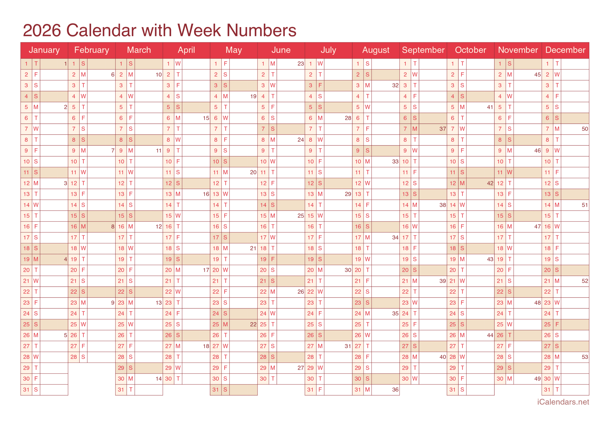 Printable Office Weekly Calendar November 2026