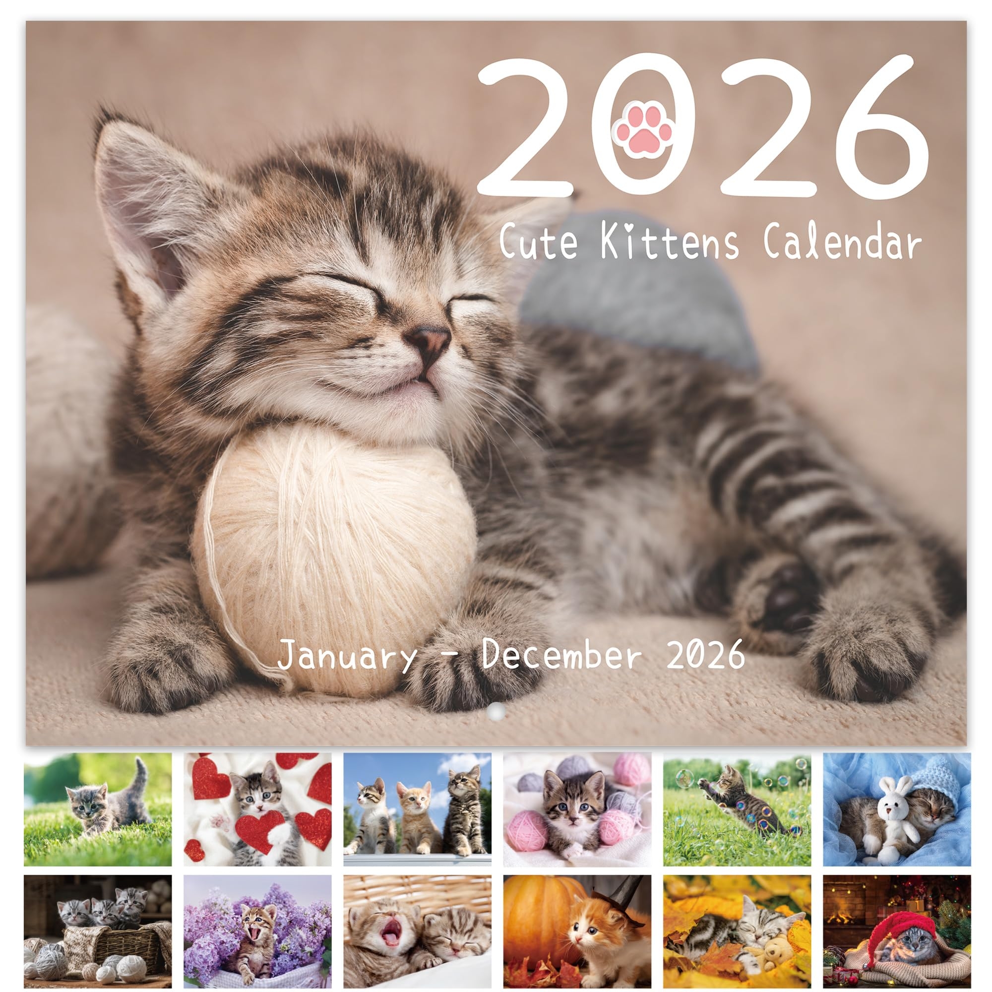 2026 Wall Calendar 2026 Cute Kittens Calendar From January 2026 