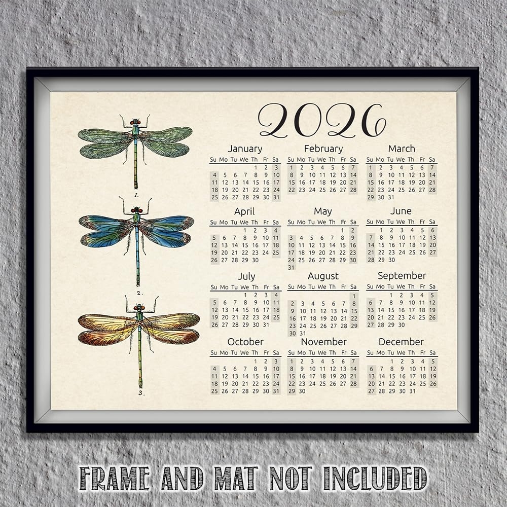 Amazon Dragonfly 2026 Calendar Poster 11x14 Unframed Wall Art 