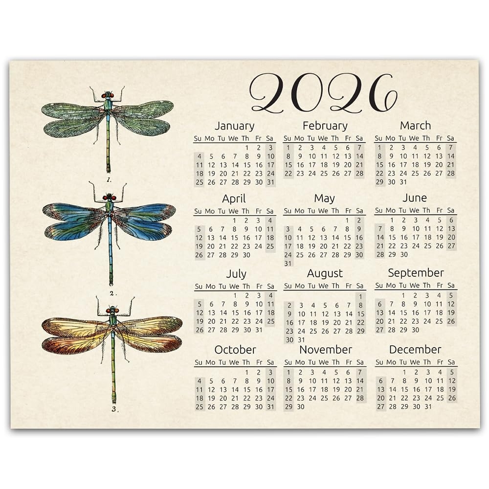 Amazon Dragonfly 2026 Calendar Poster 11x14 Unframed Wall Art 