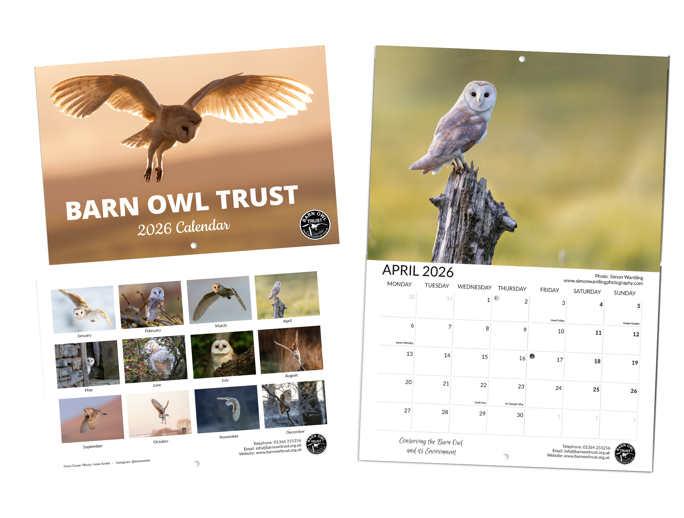 November 2026 Calendar Printable Owl