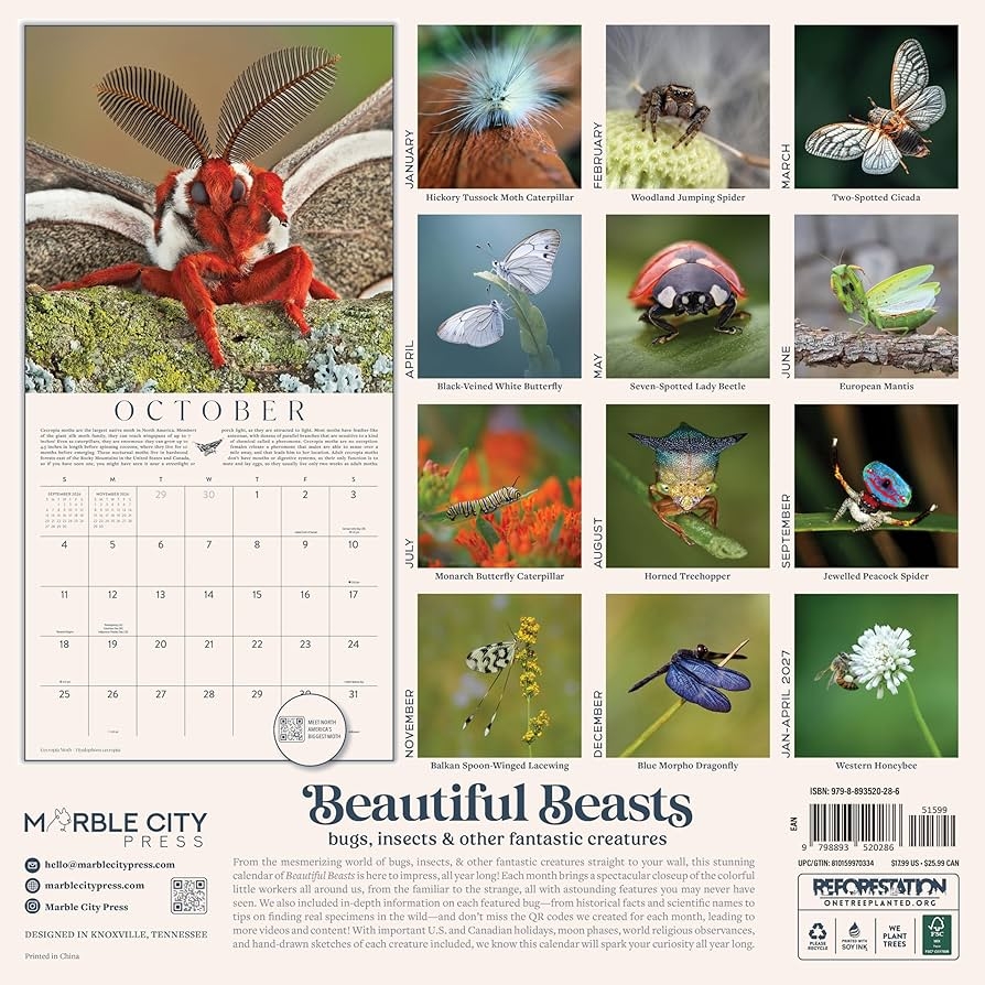 Insects Printable Calendar November 2026