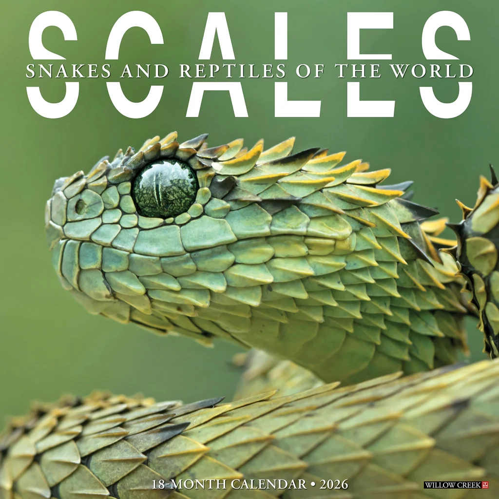 November 2026 Calendar Printable Snake