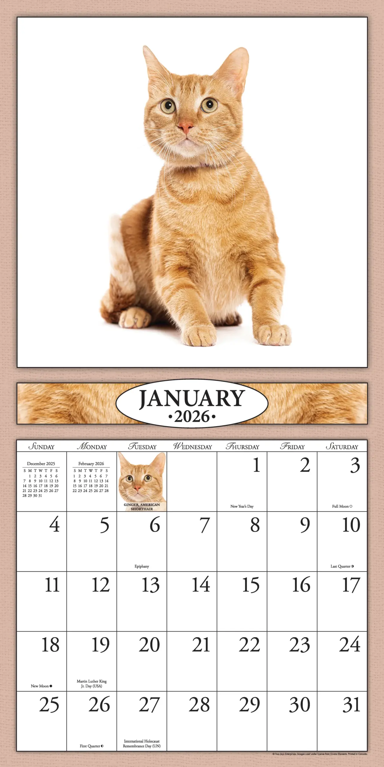 Cats 2026 Item 2642 12x24 Refill Sheet Calendar BONUS 