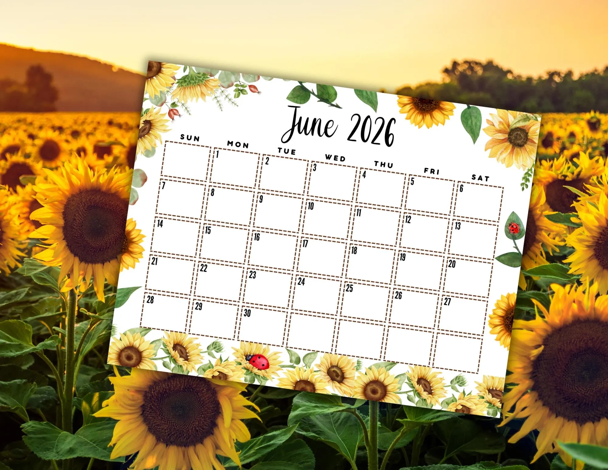 EDITABLE June Calendar 2026 Cute June Calendar W Sunflowers 