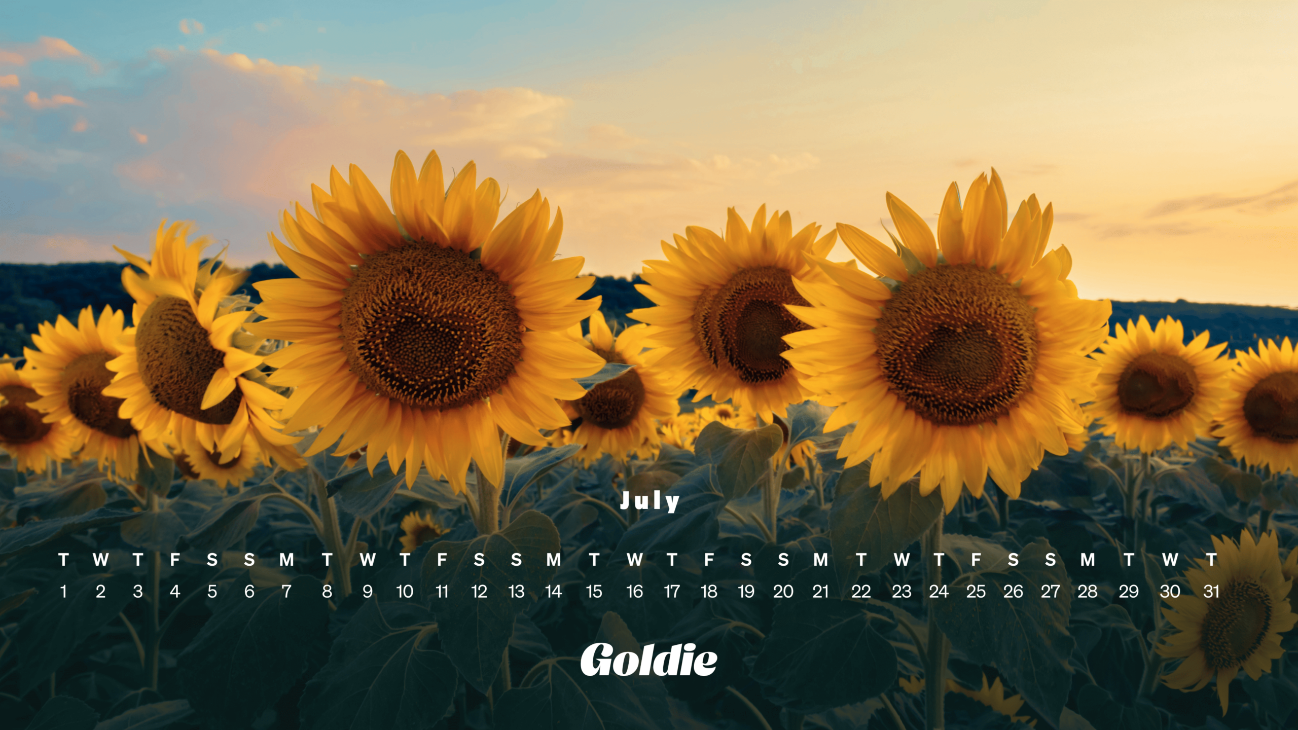 Free July 2025 Calendar Wallpapers Desktop amp Mobile