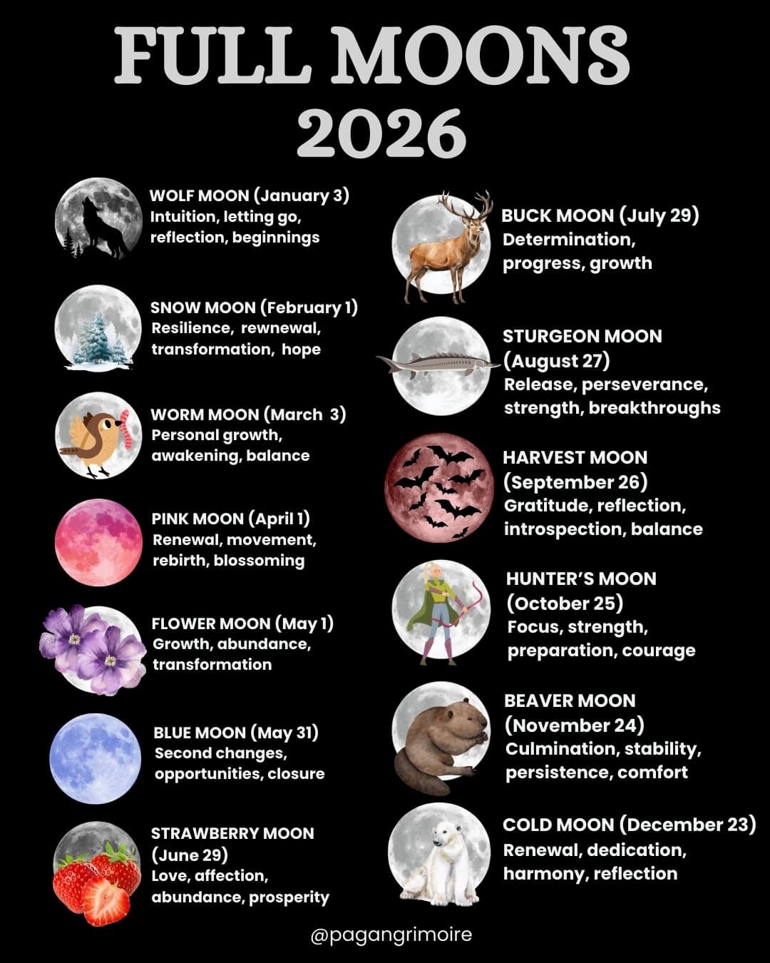 Full Moon Calendar For 2026 And 2027 When Is The Next Full Moon 