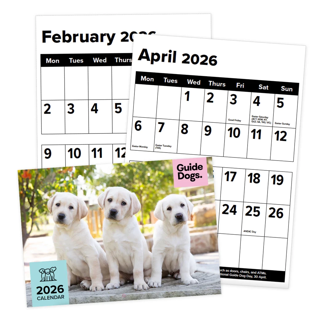 Guide Dogs 2026 Large Print Calendar A3