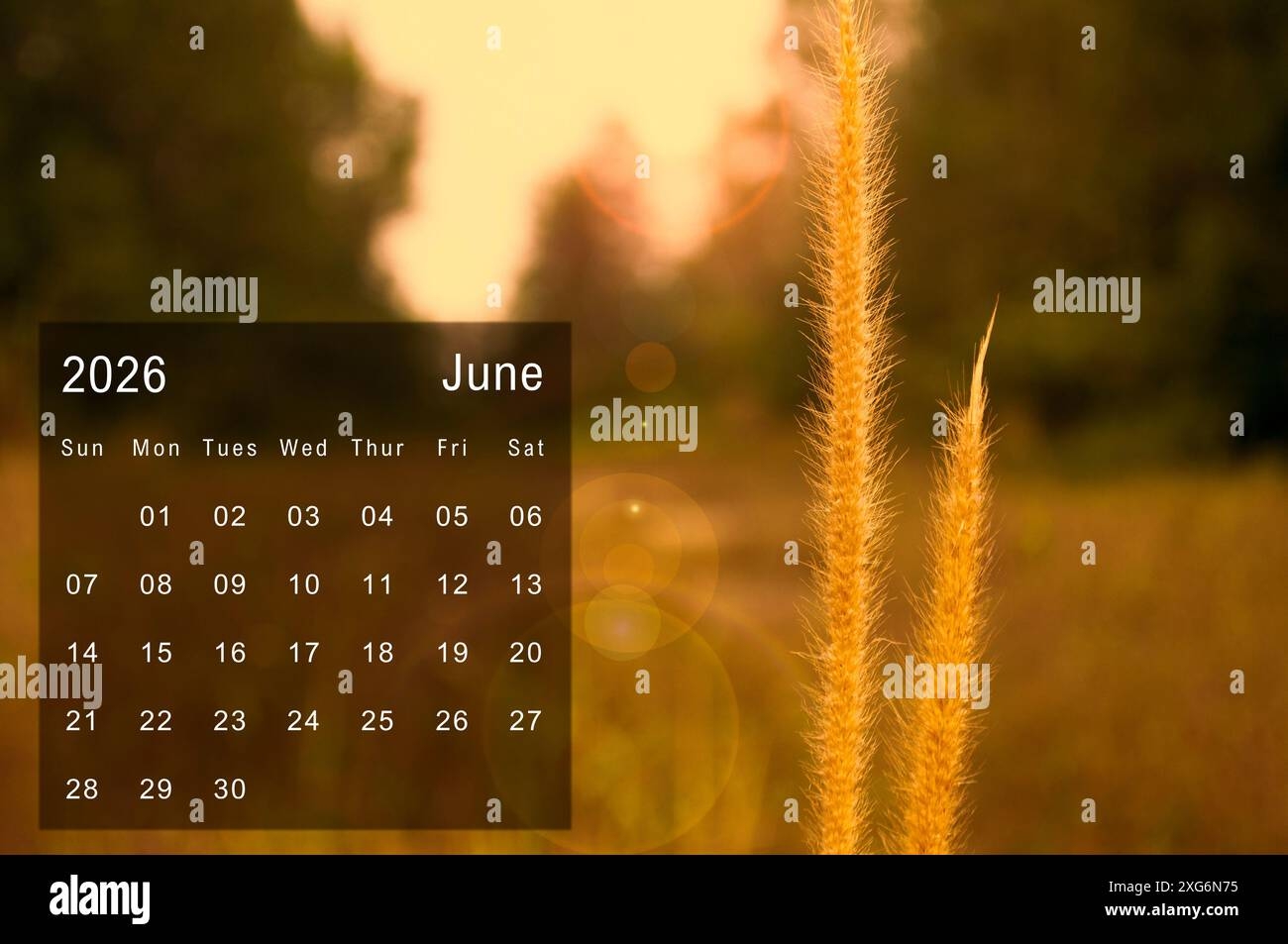 June 2026 Calendar With Nature View Of Brown Leaf With Vintage 