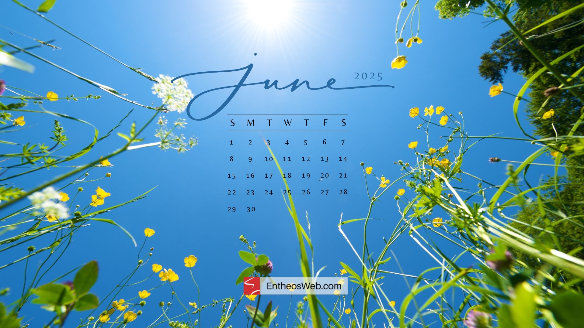 June Desktop Wallpaper Calendars EntheosWeb