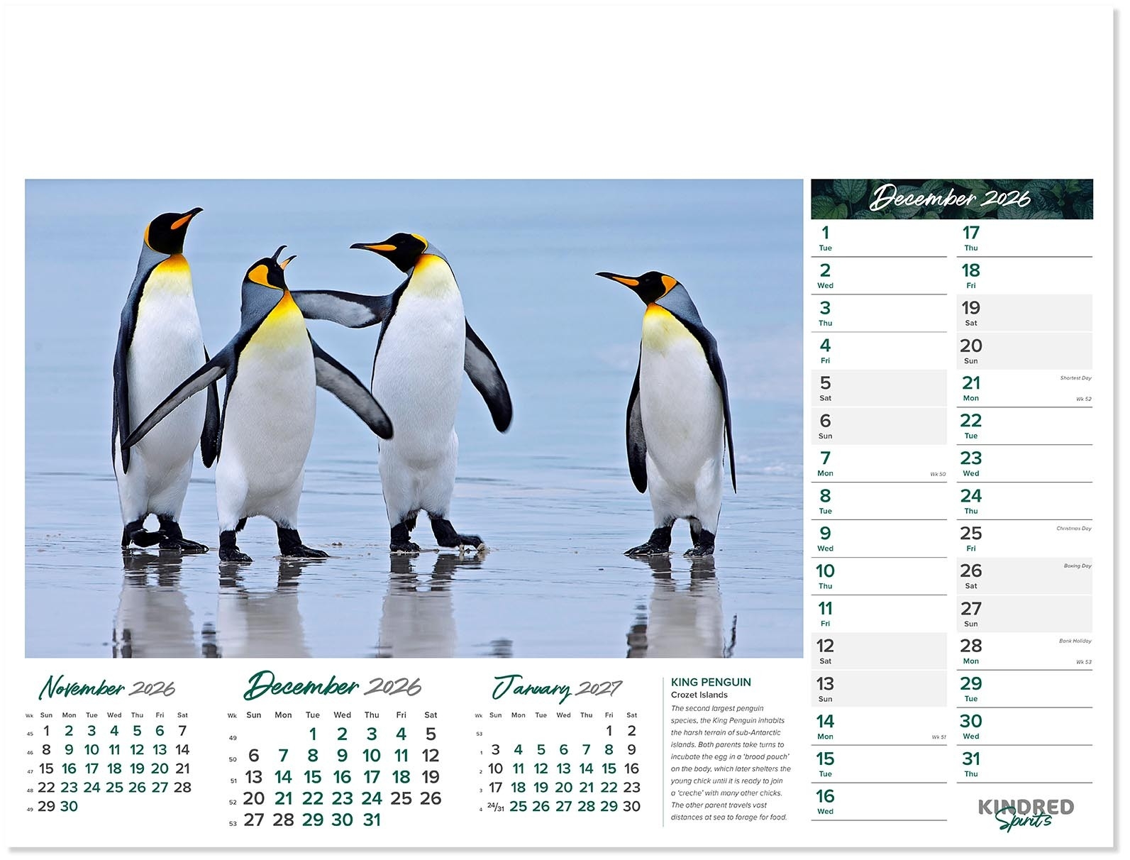 December 2026 Calendar Printable Penguin