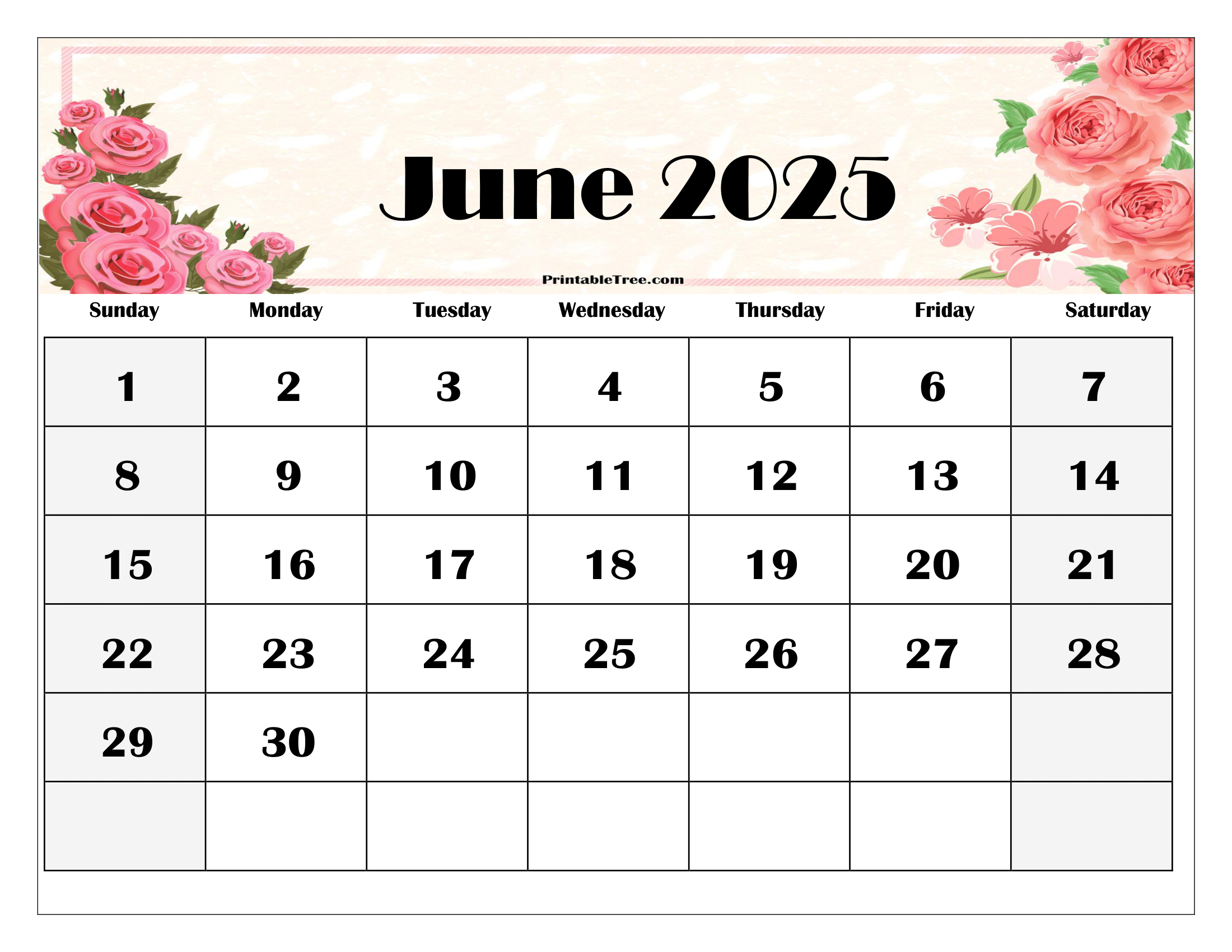 Let Me See June s Calendar Printable