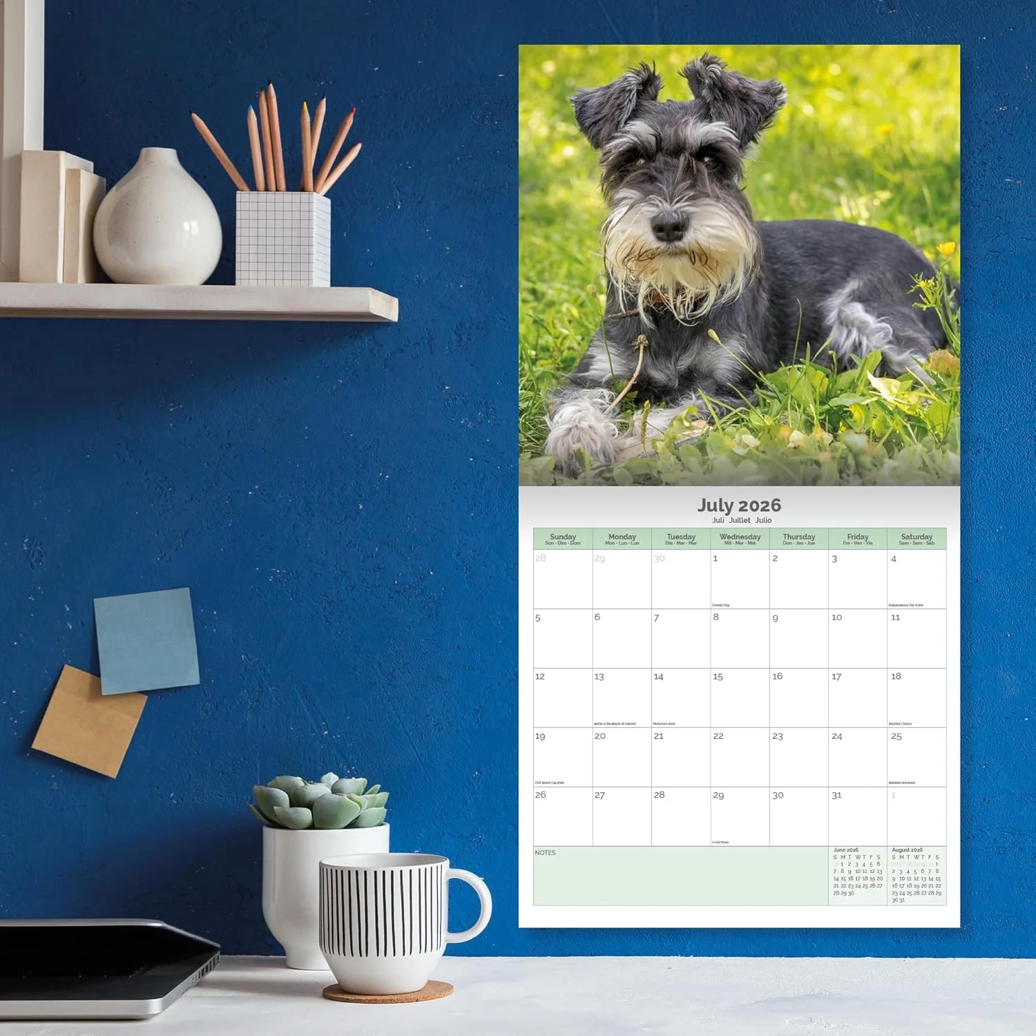 Miniature Schnauzer Calendar 2025