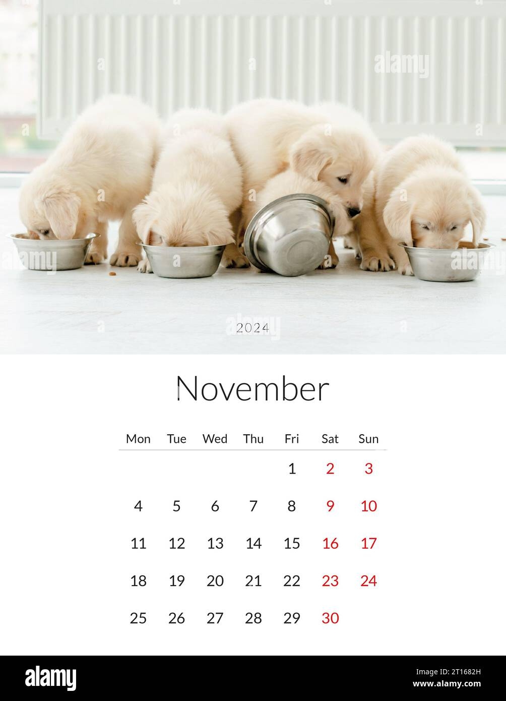 Zebra Print Printable Calendar For November