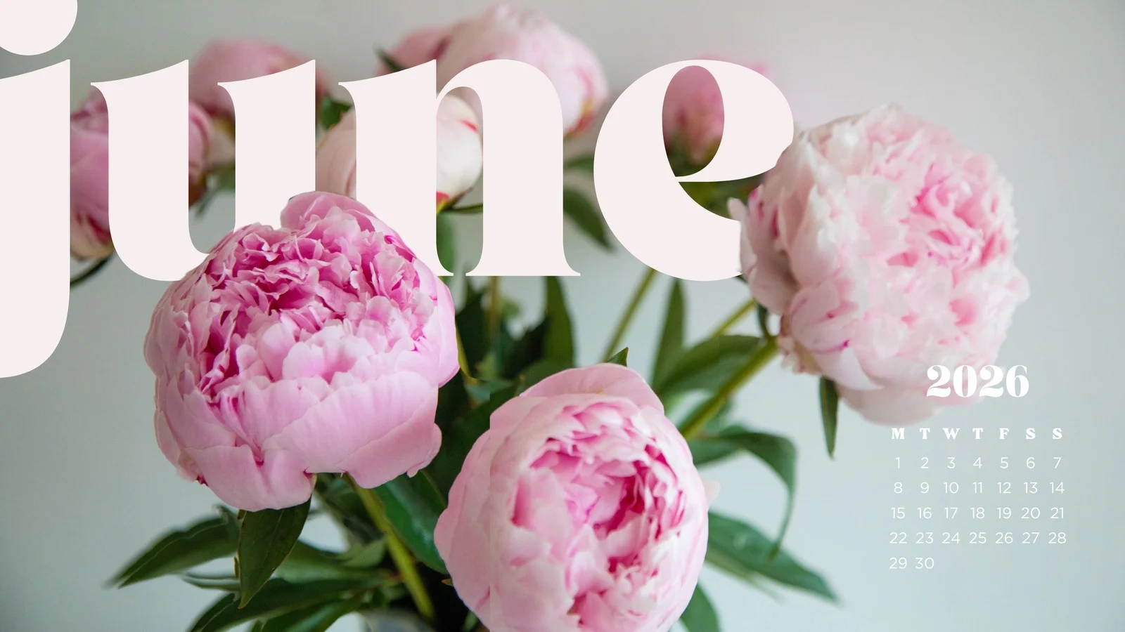 June 2026 Calendar Desktop Wallpaper