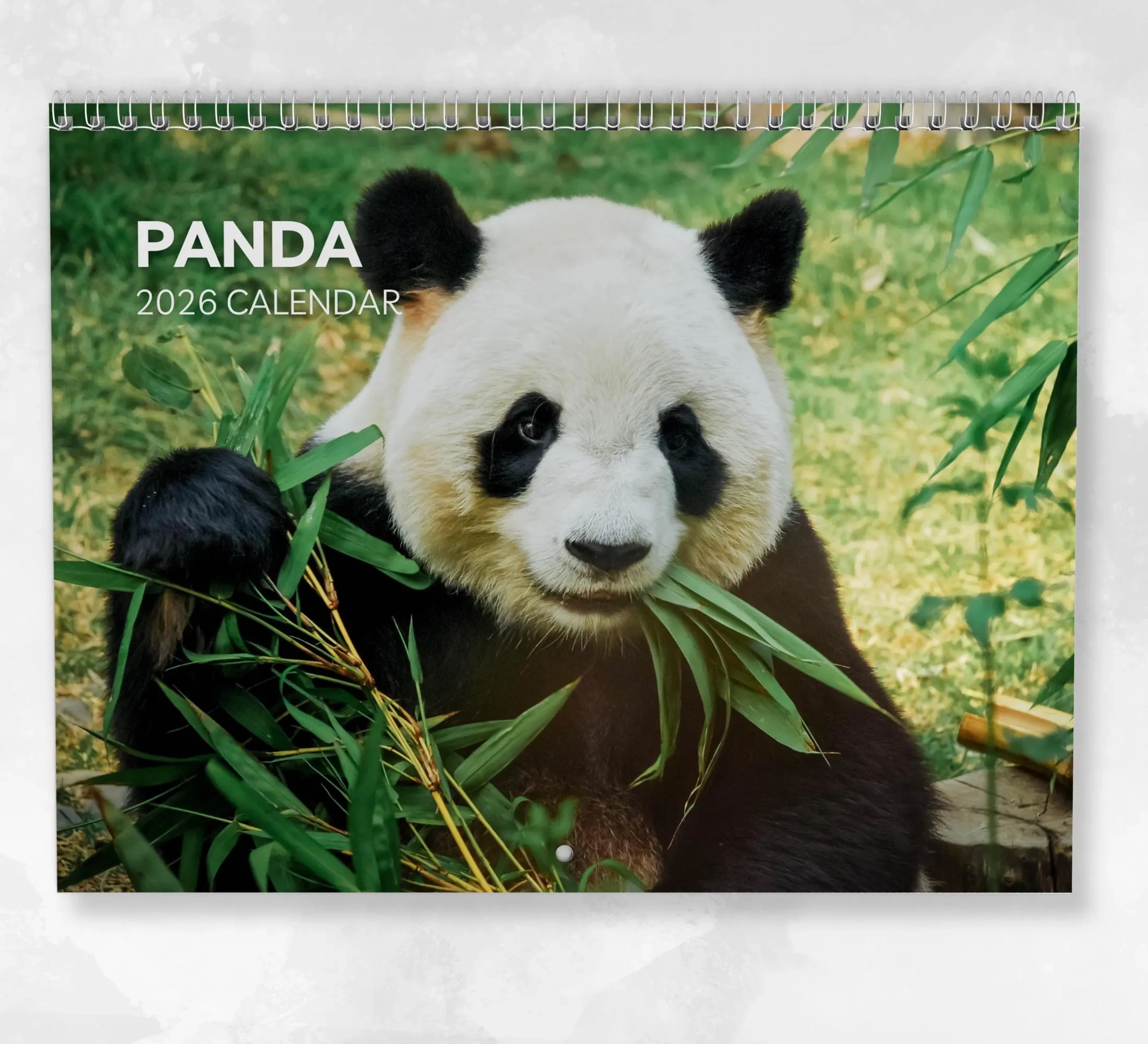 Panda Schedule Etsy Australia