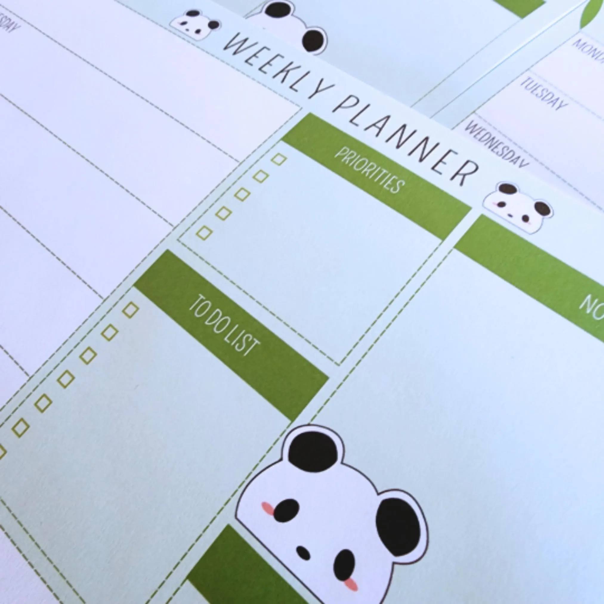 Panda Schedule Etsy Australia