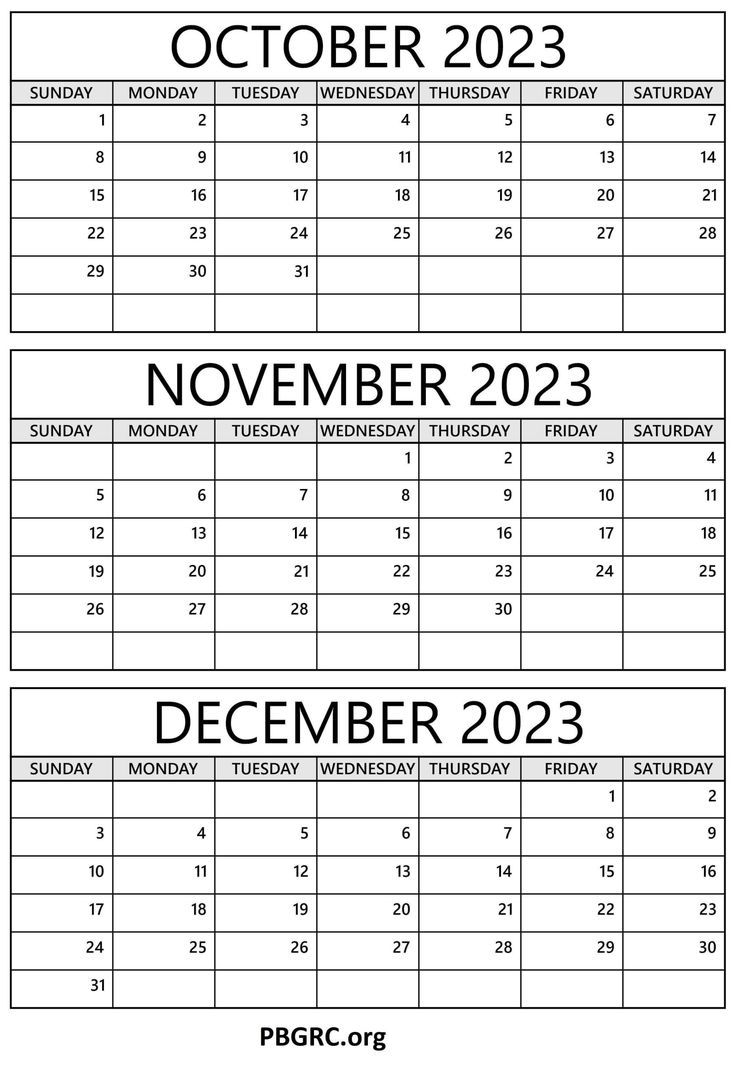 Printable October November December 2024 Calendar Templates 