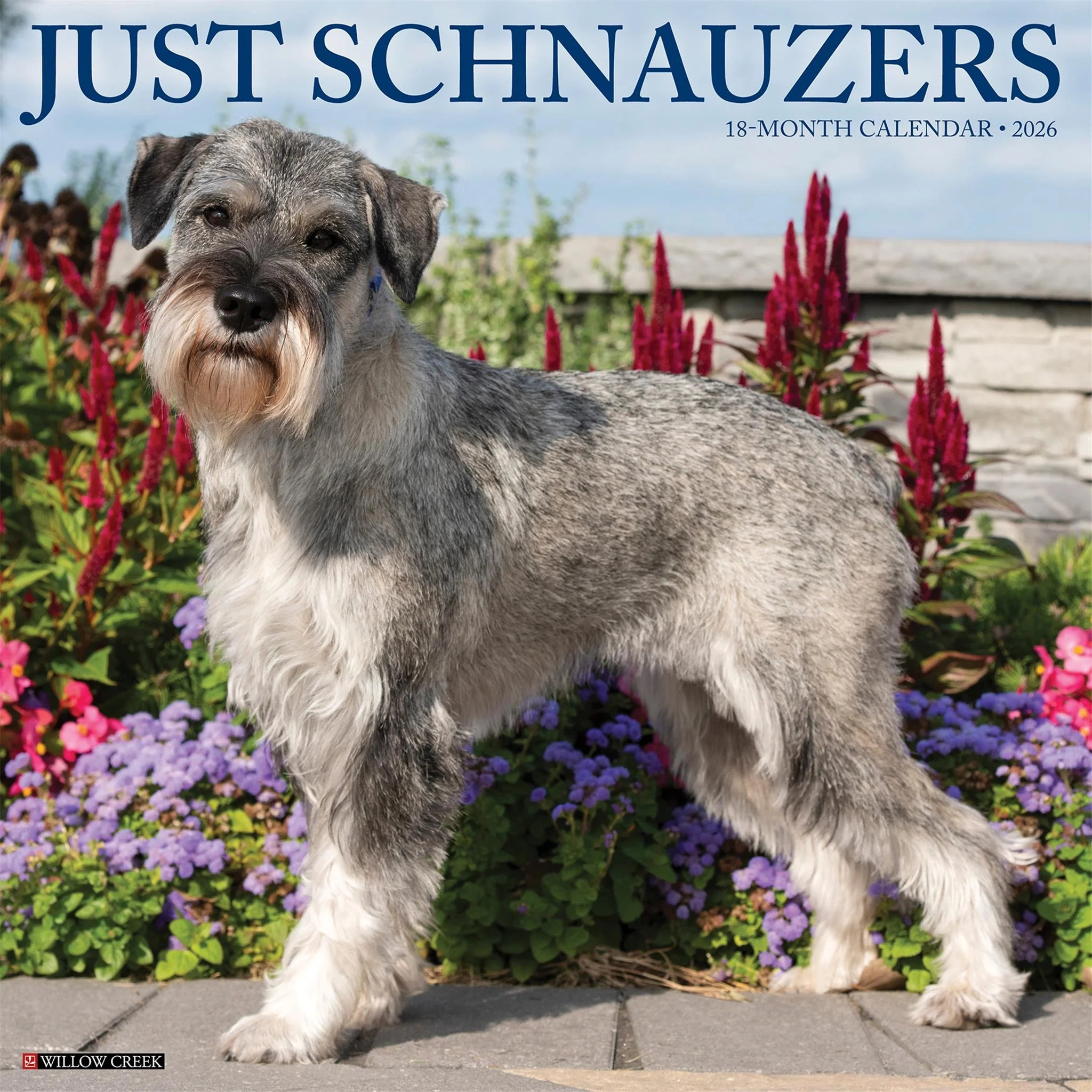 Schnauzers 2026 Just Wall Calendar Online Only