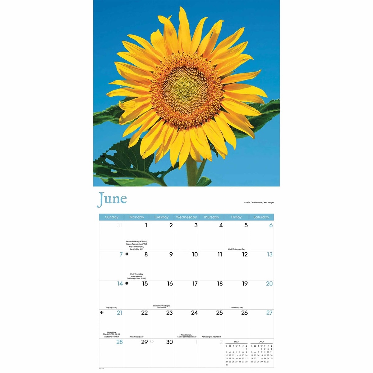 Sunflowers Calendar 2026