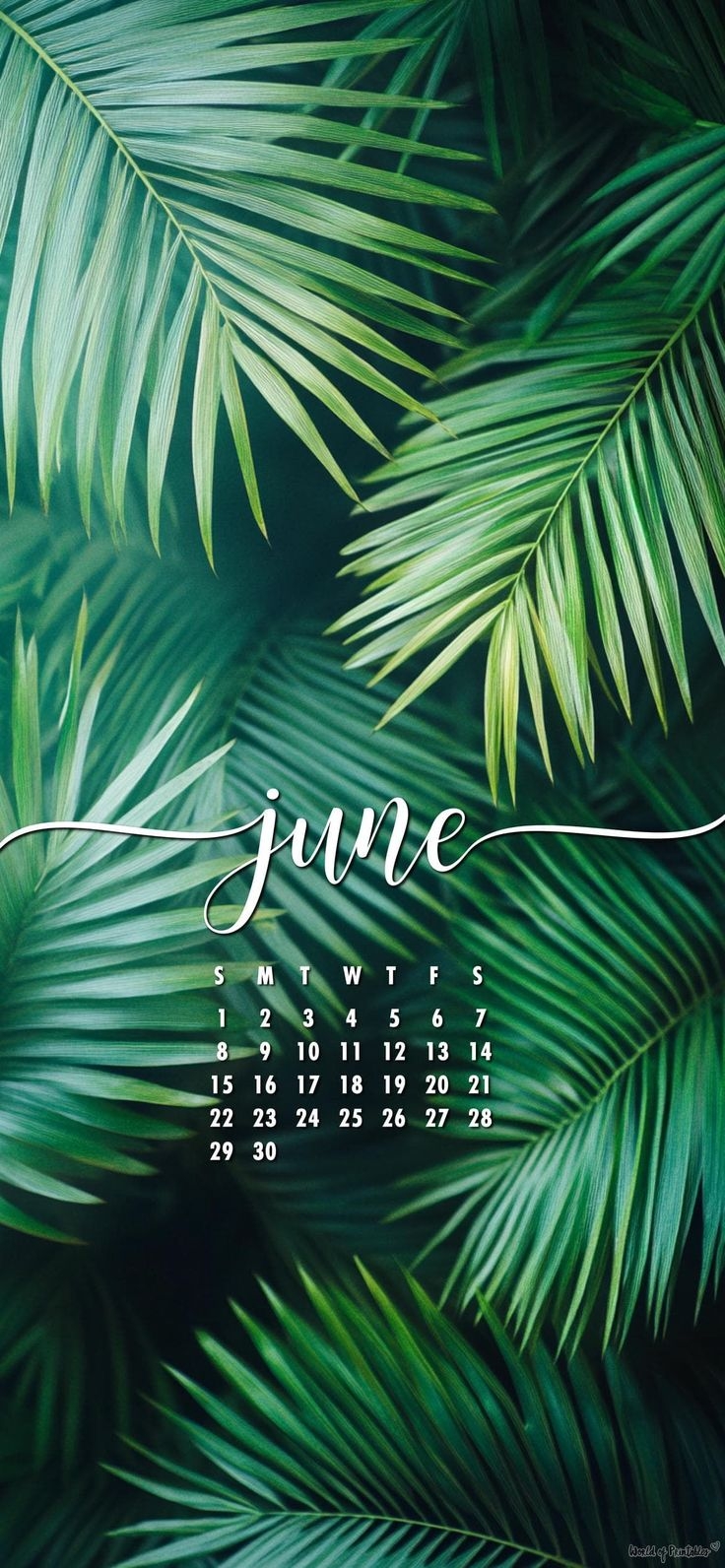 Tropical June 2025 Calendar Wallpaper For A Fresh Start