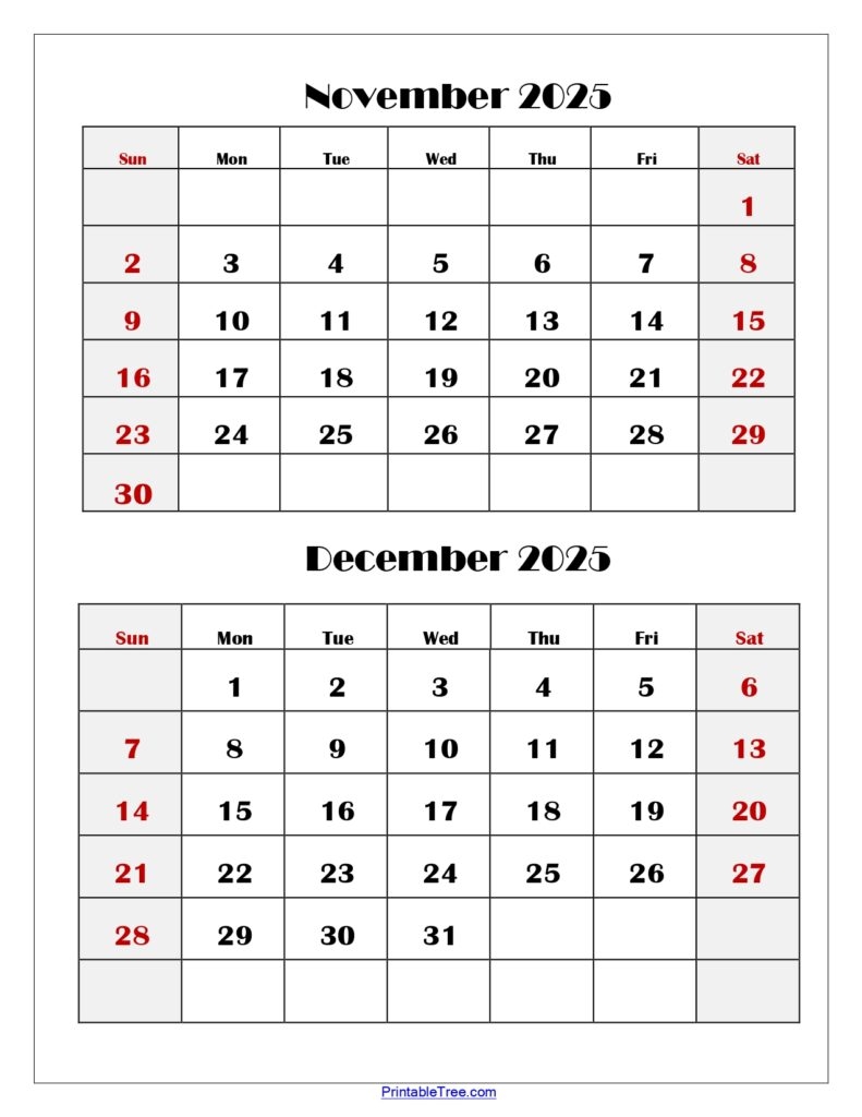 Two Months Calendar 2025 2026 Printable PDF Double Month Calendar