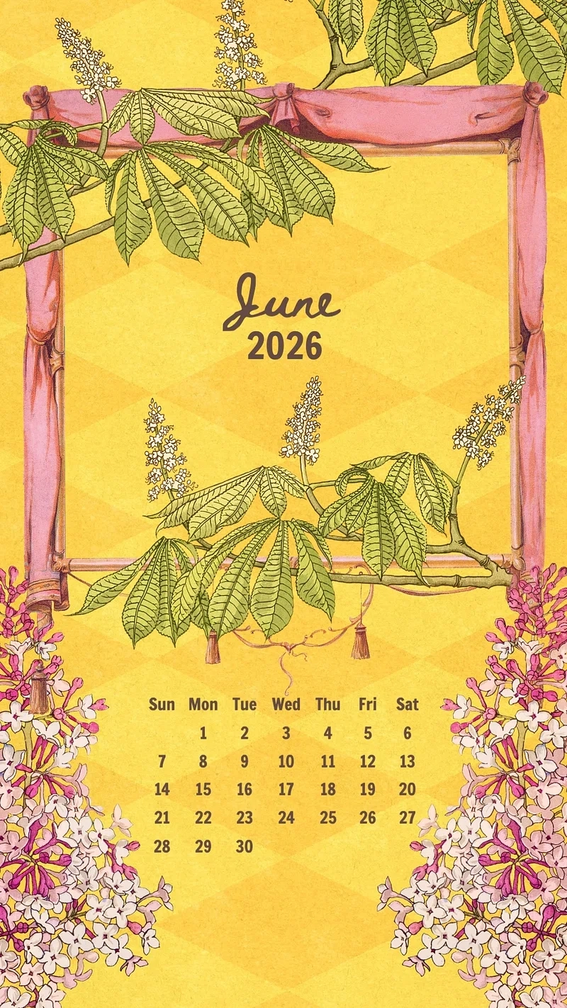 Wallpaper June Images Free Photos PNG Stickers Wallpapers 