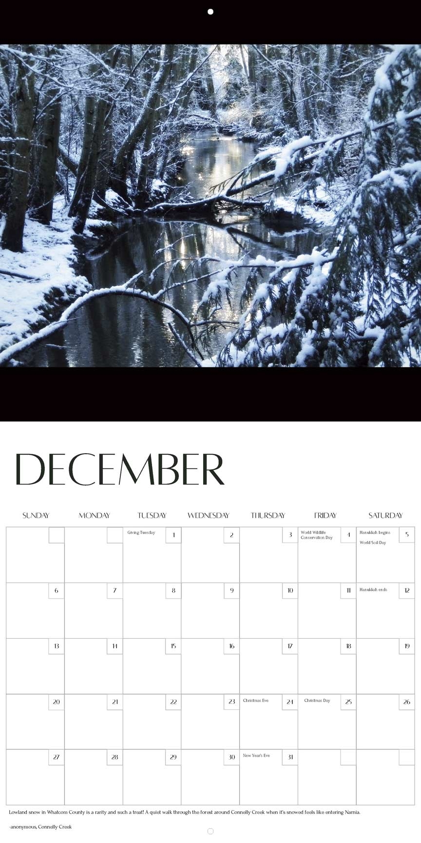 Whatcom Million Trees Project 2026 Calendar Yearbox Calendars